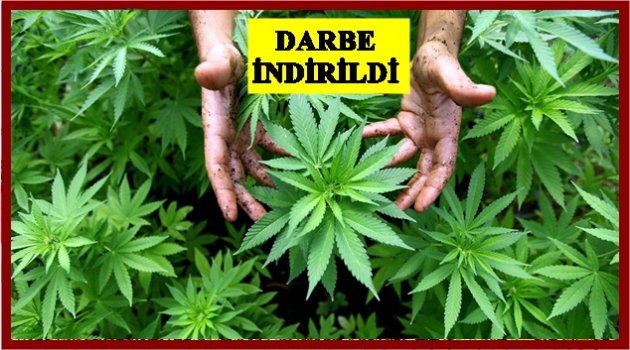 1 KİŞİ GÖZALTINDA