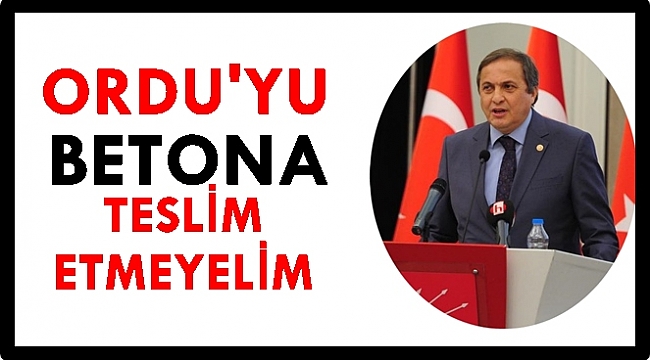 Torun; cazibe merkezi yaratmak kentleri betonla döşemek değildir