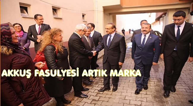 Akkuş fasulyesi organik üretilecek