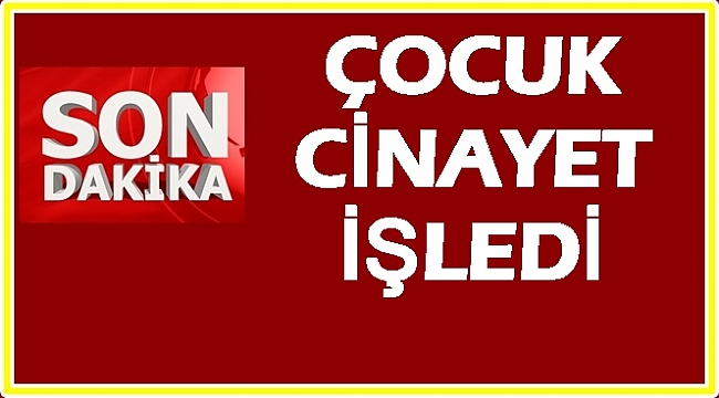 Cinayet 1 kişi tabancayla öldürüldü