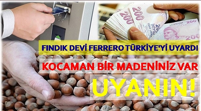 Fındık sürekli raflarda olacak