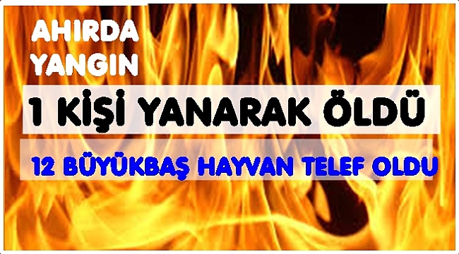 Hayvanlarını kurtarmak isterken kendisi de  yandı