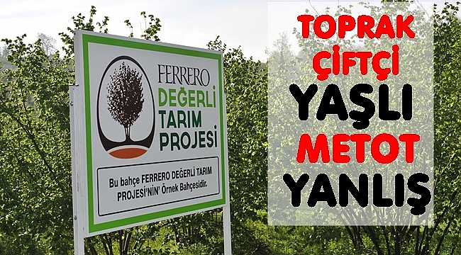 Türkiye fındıkta üretimde dünya lideri verimlilikte 6. sırada