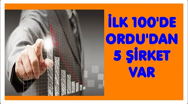 Türkiye&#039;nin &#039;en parlak&#039; 100 şirketi arasında Ordu&#039;dan hangi şirketler var
