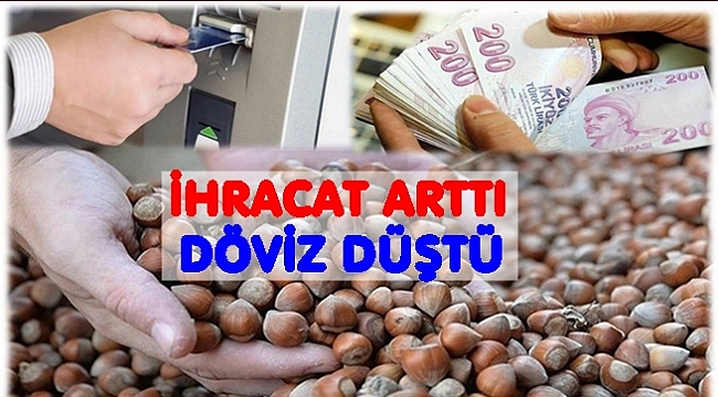 Fındık ihracat rekor kırarken ülkeye giren döviz geriledi