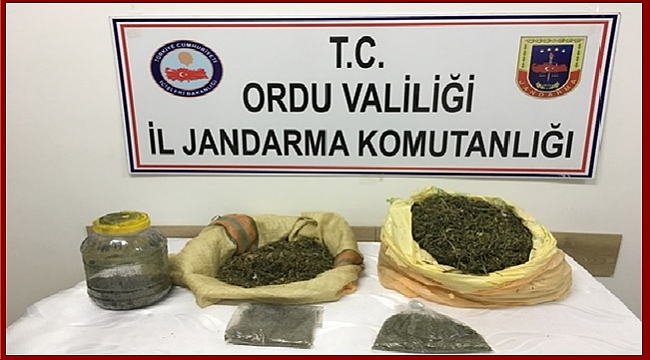 Jandarma 1 kişiyi gözaltına aldı