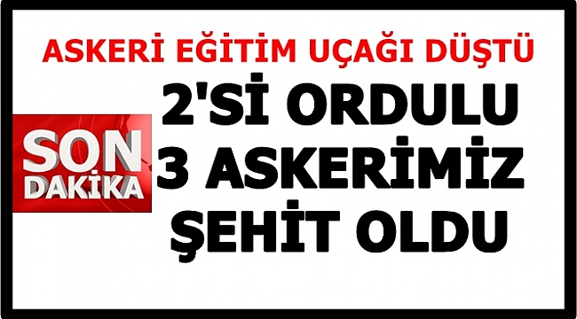 Ordu&#039;ya iki şehit acısı birden düştü