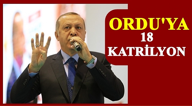 Erdoğan 4 ilçeye özel teşekkür etti