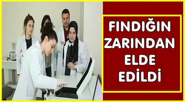 Fındığın zarından yemeklik yağ üretilecek