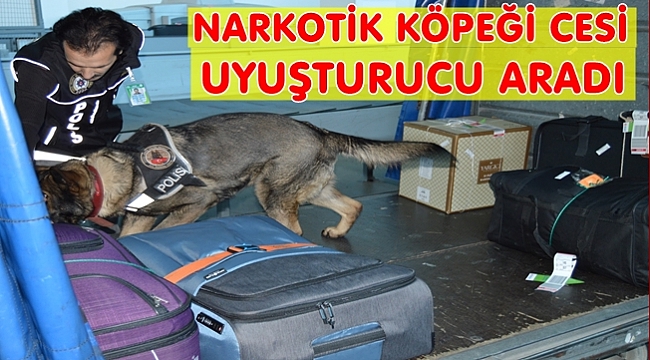 Havalimanında bagajlarda  uyuşturucu arandı