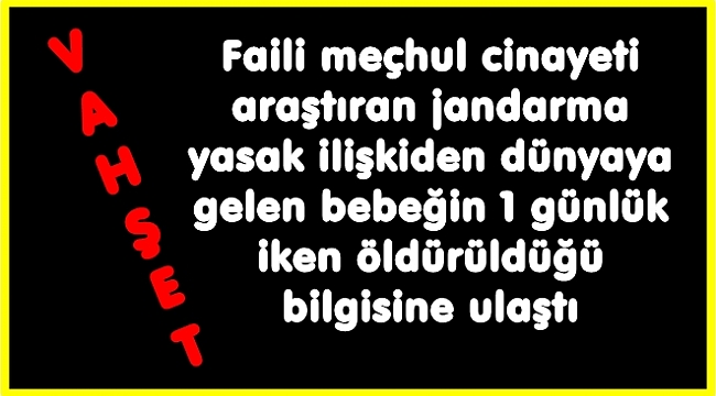 İki kardeşte tabancayla vurularak öldürülmüş