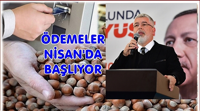 Ordu'da üreticiye 281 milyon lira ödenecek