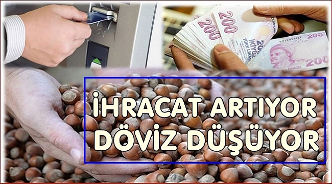 TÜRKİYE 6 AYDA FINDIKTAN NE KADAR KAZANDI