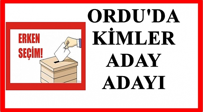 Bu seçim aday adaylarının sayısının azlığı dikkat çekiyor