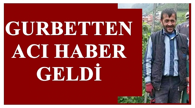 Kesilen ağacın altında can verdi