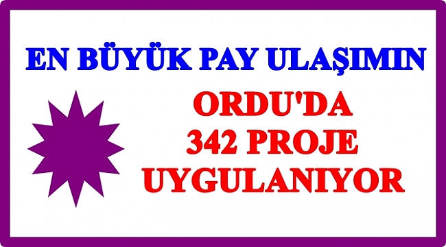 Ordu'da hangi sektörde hangi proje var