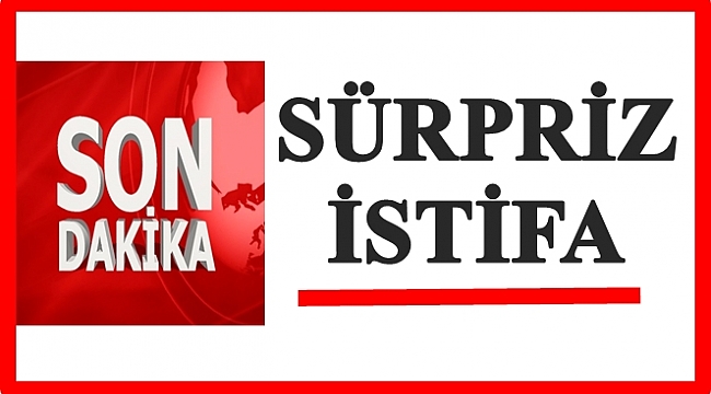 Ordu'dan milletvekili aday adayı olacak