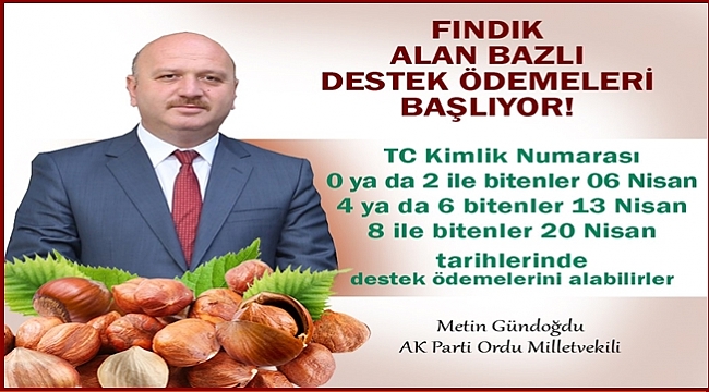 Ordu'ya 261 milyon lira ödenecek