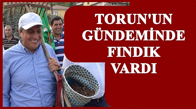 Torun: Fındık üreticisi hesap sorar