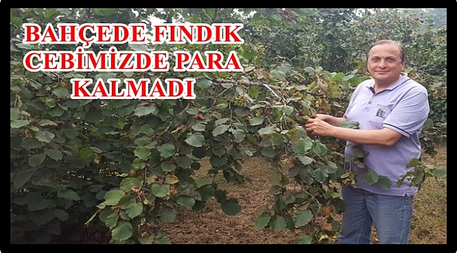 Torun: Fındıktan kazandığımız döviz eriyip gidiyor