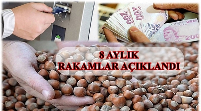 İhracat arttı döviz azaldı