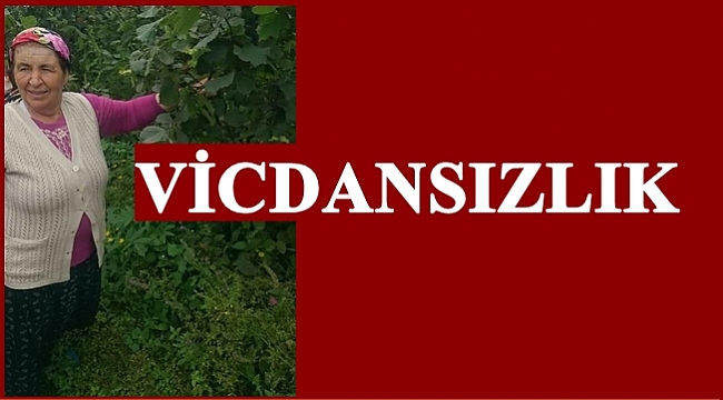 Yaşlı kadını kim neden öldürdü?