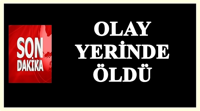 Ağaçtan düştü yaşamını kaybetti