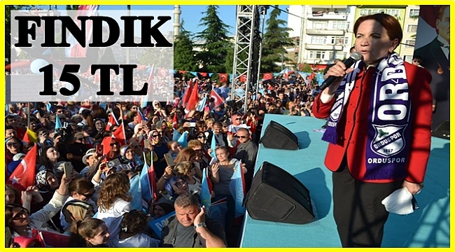 Akşener fındık için neler söyledi