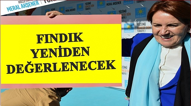 Akşener: Üreticinin yüzü gülecek