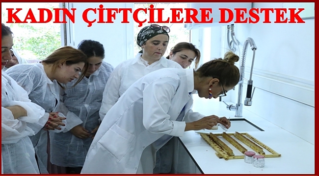Arı sütünün üretimini öğreniyorlar