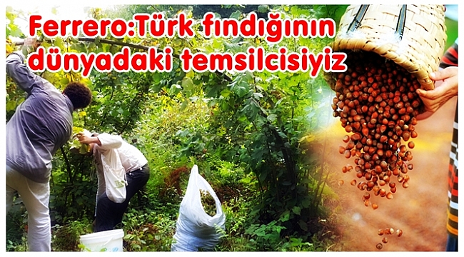 Ferrero: Fındıkta fiyat yerine kaliteye önem veriyoruz