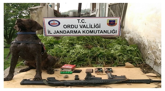 Jandarma iki kişiyi gözaltına aldı