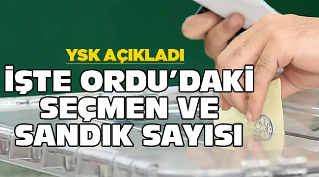 Ordu'da oy verme işlemi 08.00-17.00 saatleri arasında gerçekleşecek