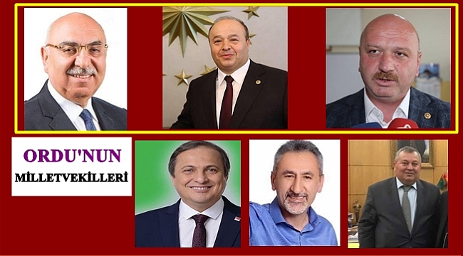 Ordu'da seçimde kim ne kadar oy aldı