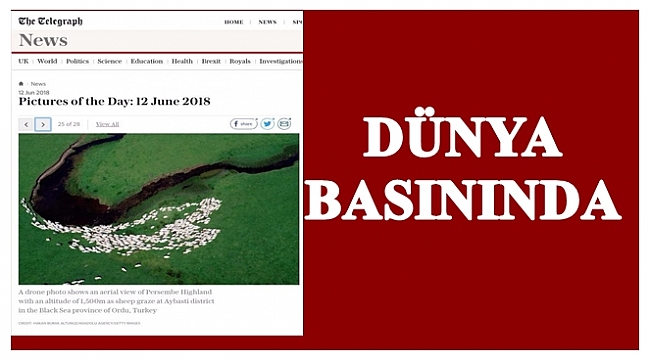 Perşembe Yaylası dünya basınının gündeminde