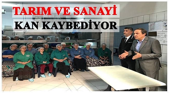 Torun: Finans ve beton ekonomisiyle 16 yıl heba oldu