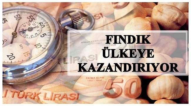 Türkiye fındıktan 9 ayda ne kadar döviz kazandı