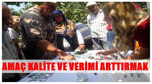 Eğitilen çiftçilerin fındık üretimi bir kat daha artıyor