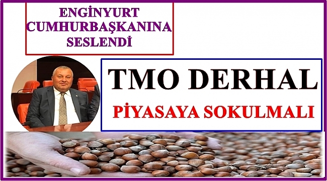 Enginyurt: Fındığın 10 TL maliyeti var en az 14 TL olmalı