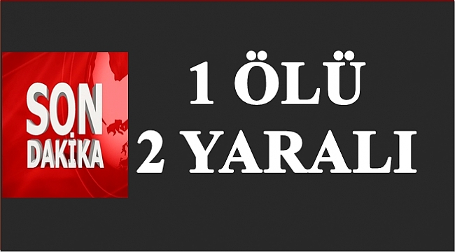 Feci kazada sürücü öldü