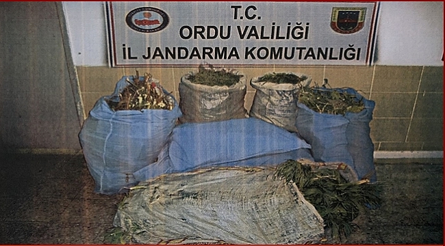 İki kişi tutuklandı