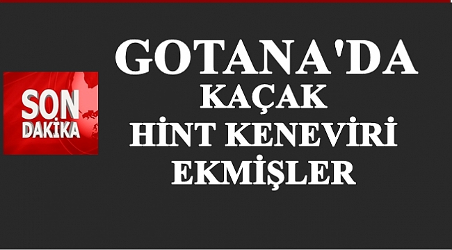 Jandarma suçlulara göz açtırmıyor