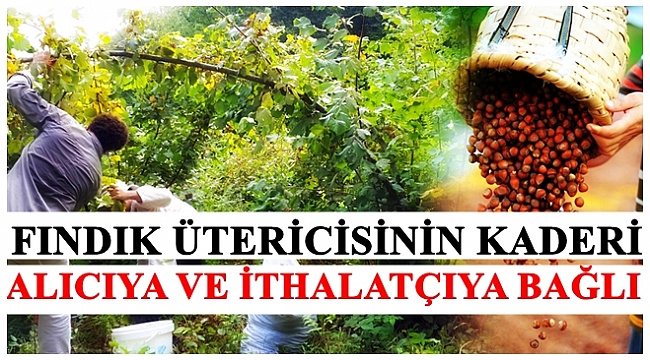 TZOB GENEL BAŞKANI BAYRAKTAR: FINDIK REKOLTESİNDE DÜŞÜŞ BEKLİYORUZ