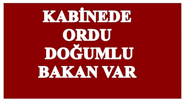 Yeni kabinede Ordu doğumlu bir bakan var