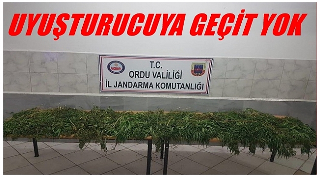 8 kg kubar esrar yakalandı