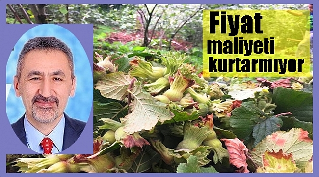 Adıgüzel: Fındık  15 TL olmalı