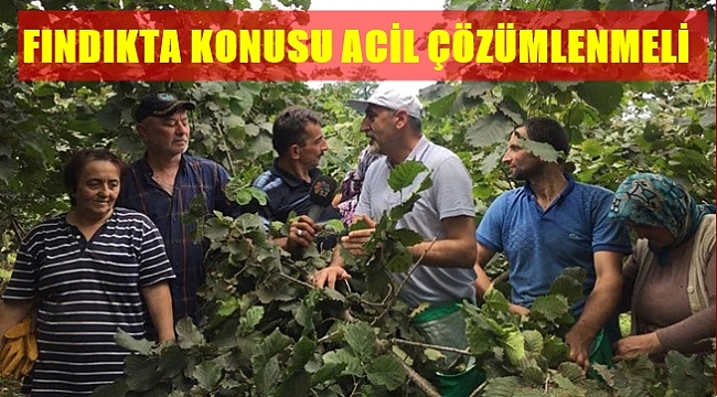 Adıgüzel: Fındık için komisyon kurulsun