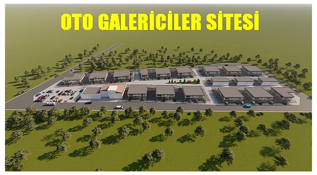 Altınordu'da oto galericiler Eskipazar'da toplancak