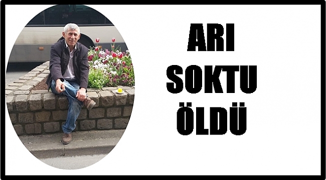 Arı ölümüne neden oldu