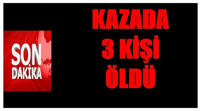 Aynı aileden 3 kişi öldü 1 kişi yaralandı